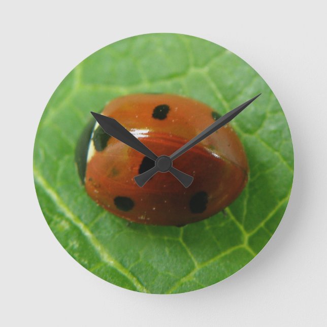 Relógio de Parede Ladybug (Frente)