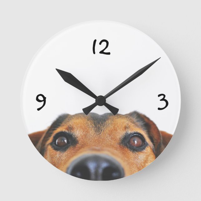 Relógio de Parede Personalizado para Animais de Es (Frente)