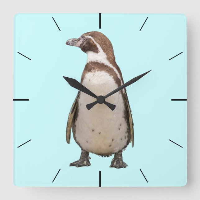 Relógio de Parede Pinguim (Frente)