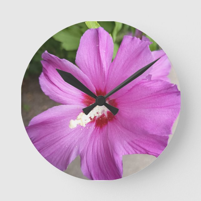 Relógio de Parede Redondo Flor de Hibisco Rosa (Frente)