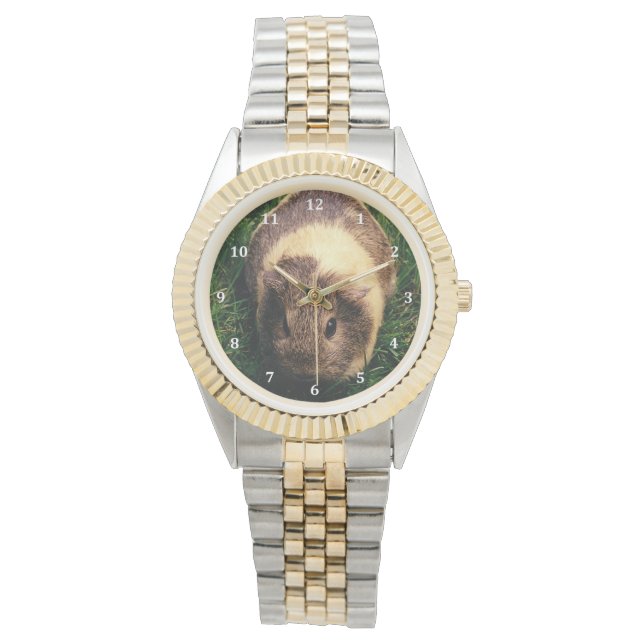Relógio De Pulso Agouti Guiné Pig na Grama (Frente)