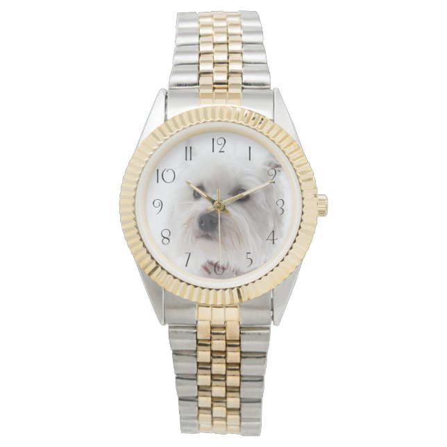 Relógio De Pulso Altos Terrier do Oeste, Branco (Frente)