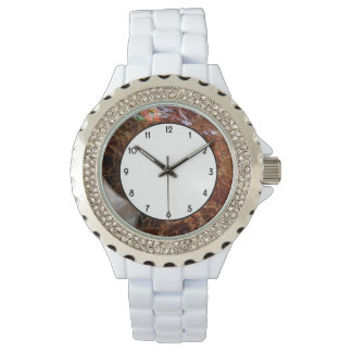 Relógio De Pulso Ammonite ammolita