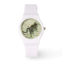 Arrancas na água