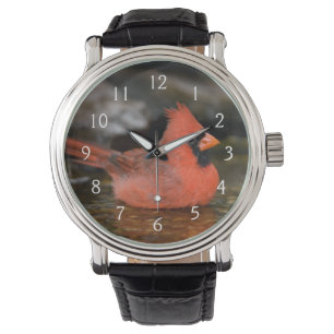 Relógio De Pulso Banho masculino cardinal do norte