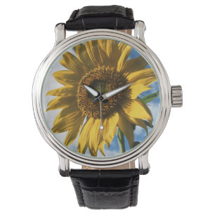 Relógio De Pulso Califórnia, Um Girassol Gigante (Helianthus) 2
