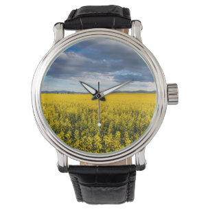 Relógio De Pulso Campo de Canola à Luz do Final da Tarde