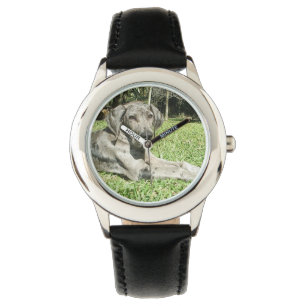 Relógio De Pulso Cão de great dane