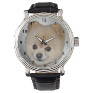 Relógio De Pulso Cão de Pomeranian