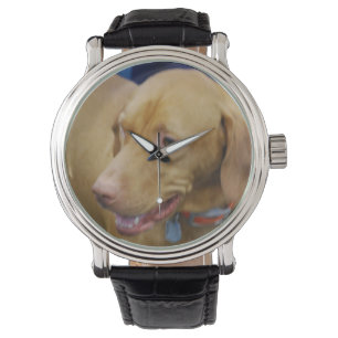 Relógio De Pulso Cão de Vizsla