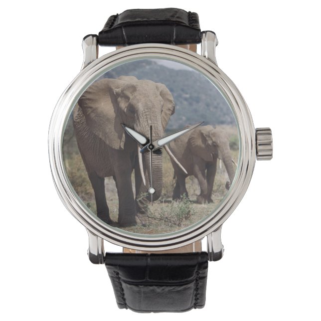 Relógio De Pulso Elefante mãe andando com filhote de elefante (Frente)
