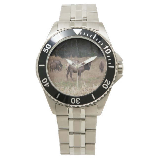 Relógio De Pulso Elk Wrist Watch (Frente)