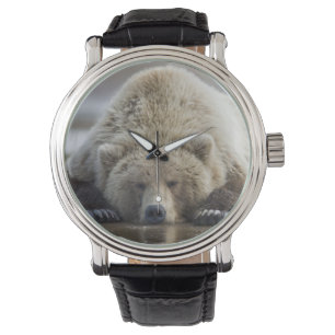 Relógio De Pulso EUA, Alasca, Parque Nacional Katmai, Urso Pardo