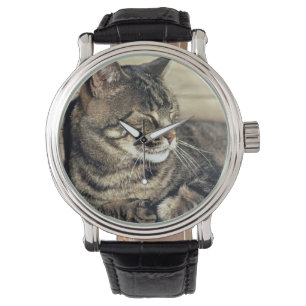 Relógio De Pulso EUA, Utah, Capitol Reef NP. Gato de dormir