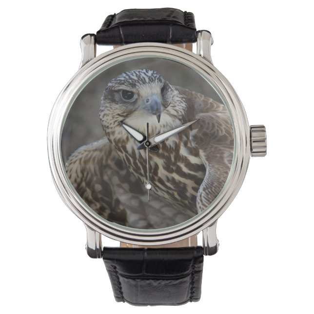 Relógio De Pulso Falco cherrug (Frente)