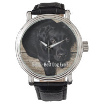 Foto personalizada do cão preto no laboratório e n