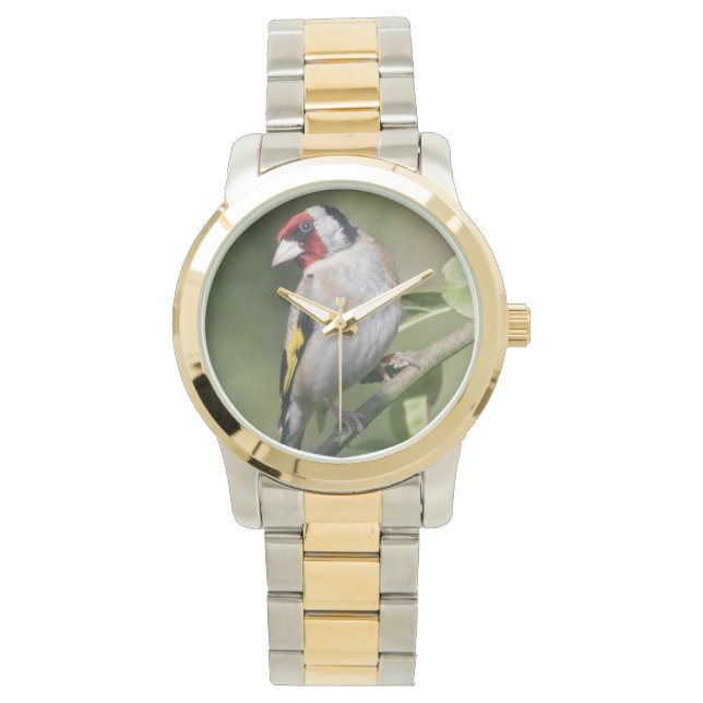 Relógio De Pulso Goldie Watch (Frente)