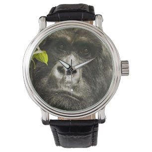 Relógio De Pulso Gorila-da-montanha, Gorilla beringei beringei,