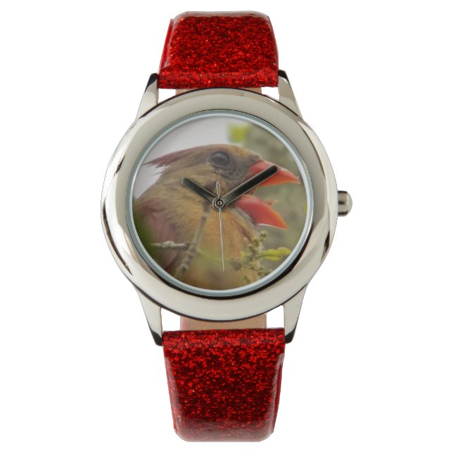 Relógio De Pulso Lady Cardinal Watch (Frente)