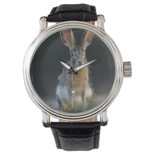 Relógio De Pulso Lebre-de-cauda-preta, Lepus californicus, 2