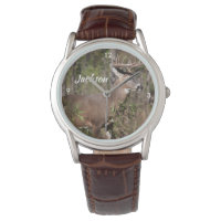 Linda Mule Deer com Grande Rack