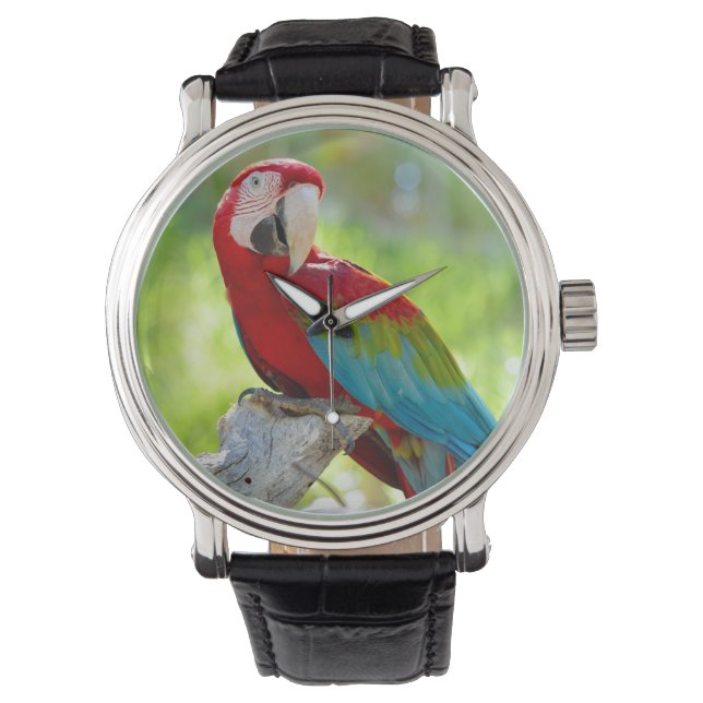 Relógio De Pulso Macaw sentado no galho (Frente)