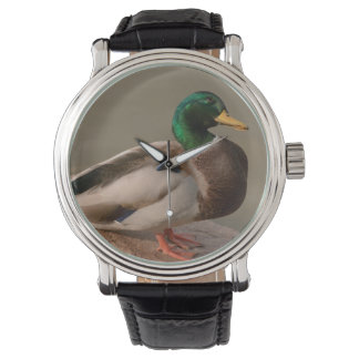 Relógio De Pulso Mallard Duck Drake Watch