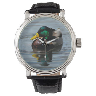 Relógio De Pulso Mallard Watch