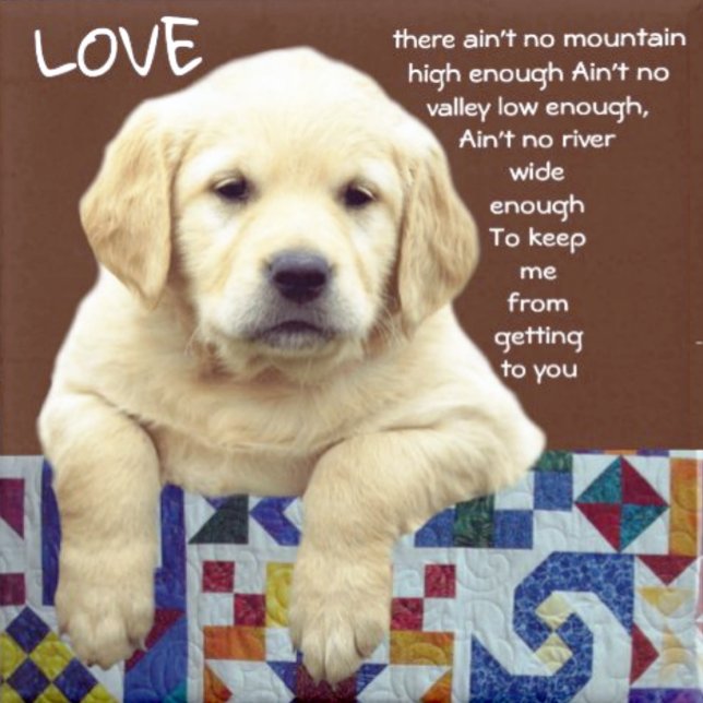 RELÓGIO DE PULSO "MEU MARIDO" (Criador carregado)