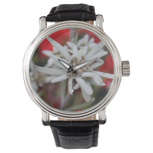 Relógio De Pulso Nivale bonito do Leontopodium de Edelweiss