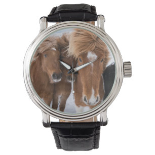 Relógio De Pulso Os cavalos islandêses nuzzle, Islândia