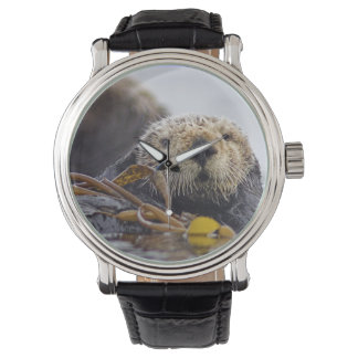 Relógio De Pulso Otter Surprise Watch