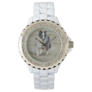 Relógio De Pulso Pastor azul do australiano de Merle