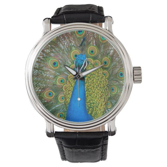 Relógio De Pulso Peacock S9K.jpg (Frente)