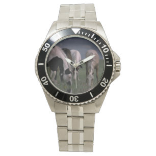 Relógio De Pulso Piebald_Horse_Family_Bebendo,_Mens_Wrist-Watch