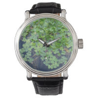 Quatro Folhas de Véu Lucky Watch