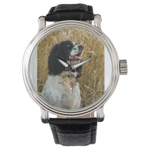 Relógio De Pulso spaniel de springer inglês em wheat.png