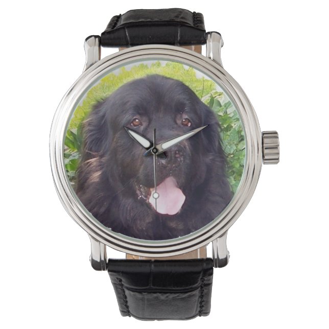 Relógio De Pulso Sporty Newfound dog Watch (Frente)