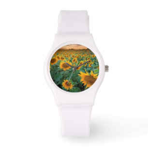Relógio De Pulso Sunflower Field em Longmont, Colorado