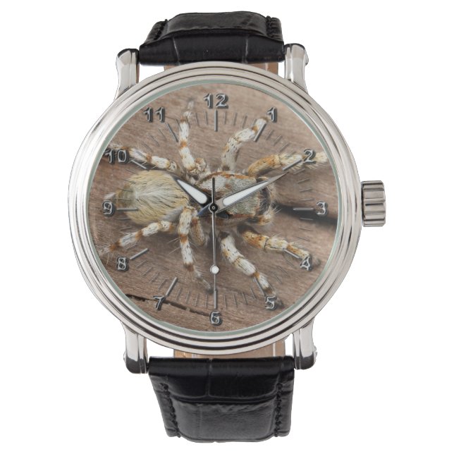 Relógio De Pulso Tarantula (Frente)