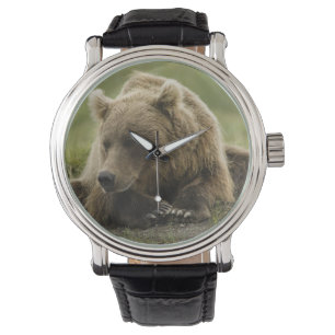 Relógio De Pulso Urso pardo, ou Urso Cinzento Costeiro, Ursus