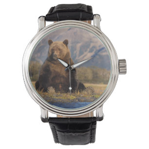 Relógio De Pulso urso pardo, Ursus arctos, urso cinzento, Ursus