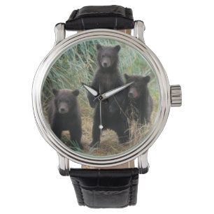 Relógio De Pulso urso pardo, Ursus arctos, urso cinzento, Ursus 7 2
