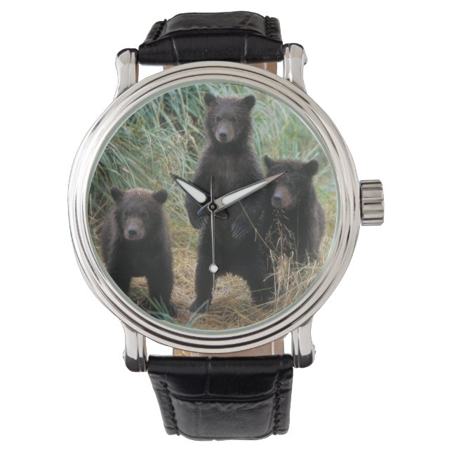 Relógio De Pulso urso pardo, Ursus arctos, urso cinzento, Ursus 7 2 (Frente)