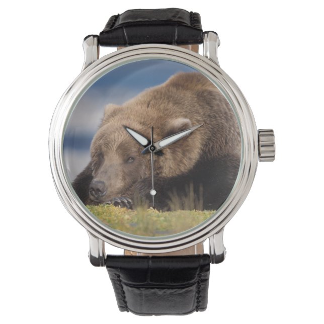 Relógio De Pulso urso pardo, Ursus arctos, urso cinzento, Ursus 8 (Frente)