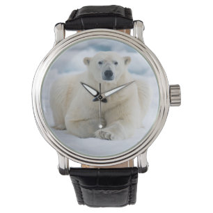 Relógio De Pulso Urso polar adulto no gelo flutuante de verão