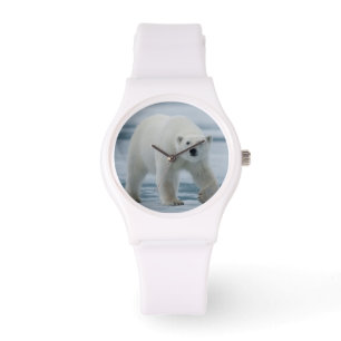 Relógio De Pulso Urso Polar, Ursus Maritimus, Adulto
