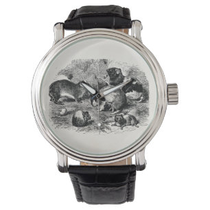 Relógio De Pulso Vintage 1800s Guiné Pig Retro Pigs Velha Guiné
