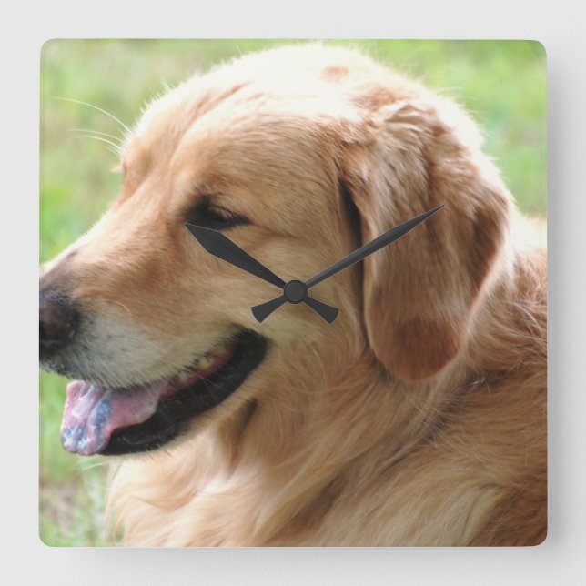 Relógio de Pup do ouro Retriever (Frente)
