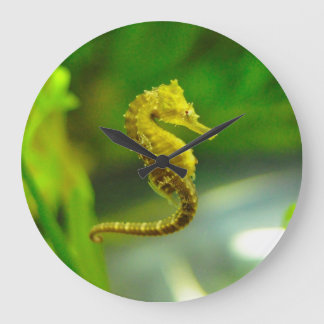 Relógio de Vida do Oceano Índico Amarelo-Cinto